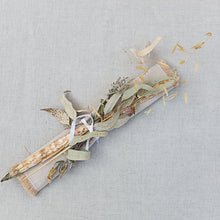 Load image into Gallery viewer, Strelizia sepia