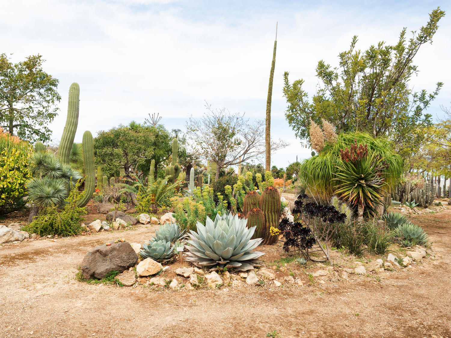 Image with text section