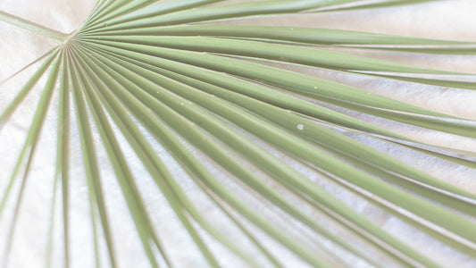 Hand-Printed Palma Leaf Cushion Cover | Cotton & Jute Blend | fuga in Sicily