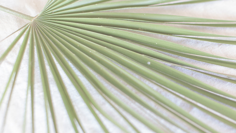 Hand-Printed Palma Leaf Cushion Cover | Cotton & Jute Blend | fuga in Sicily