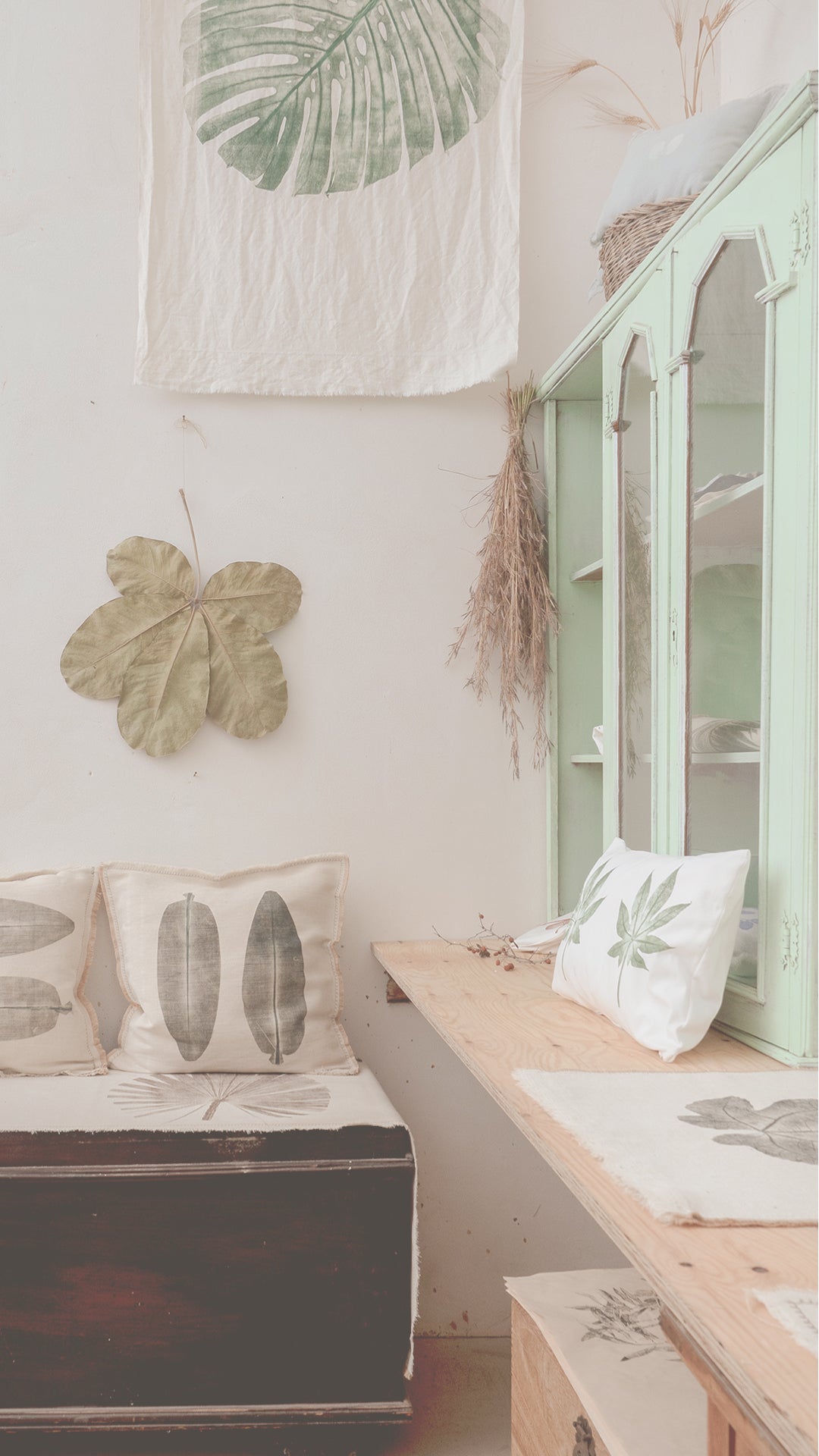 Image with text section