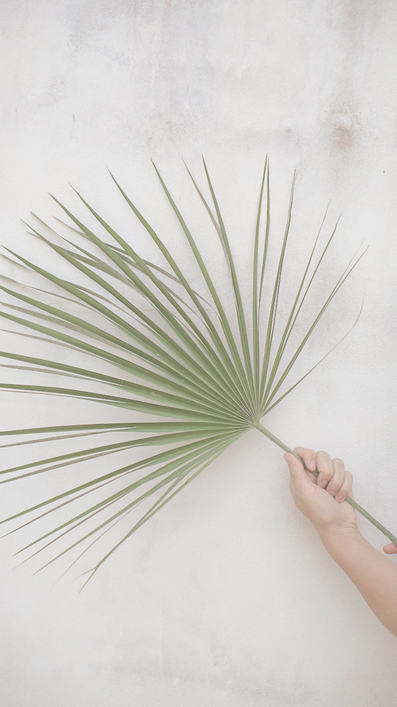 Hand-Printed Palma Leaf Cushion Cover | Cotton & Jute Blend | fuga in Sicily